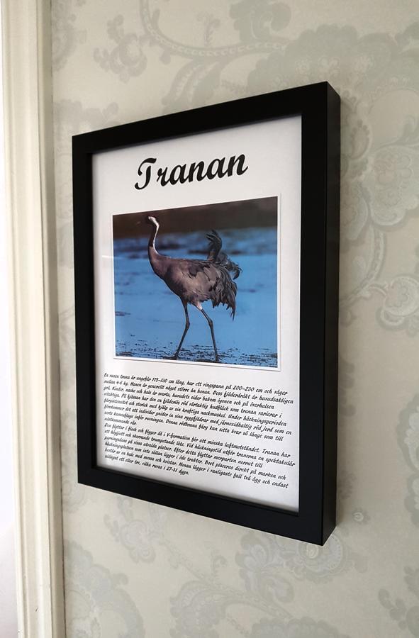 Takern Vandrarhem Svanshals Dış mekan fotoğraf