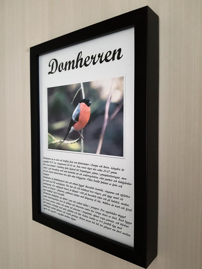 Takern Vandrarhem Svanshals Dış mekan fotoğraf