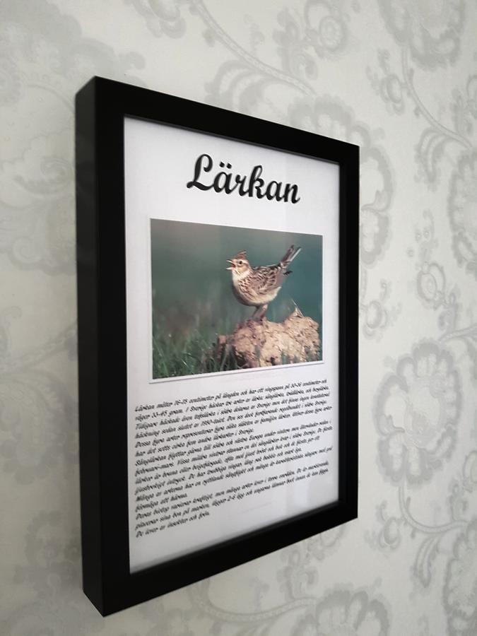 Takern Vandrarhem Svanshals Dış mekan fotoğraf