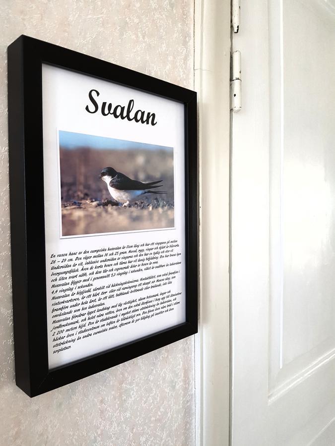 Takern Vandrarhem Svanshals Dış mekan fotoğraf